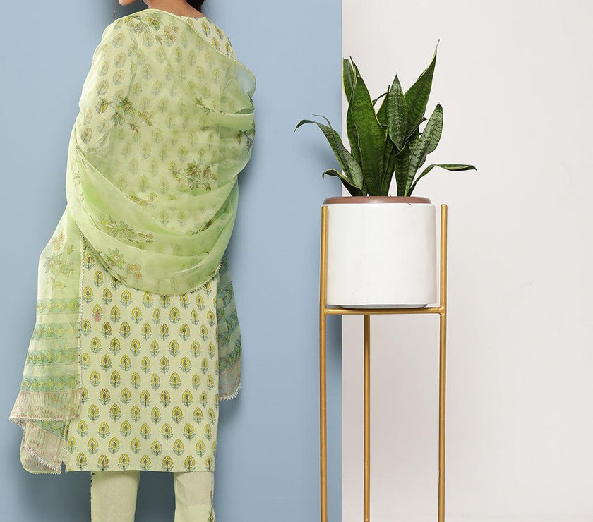 Divena Green Cotton Straight pant set with Organza Dupatta - divena world